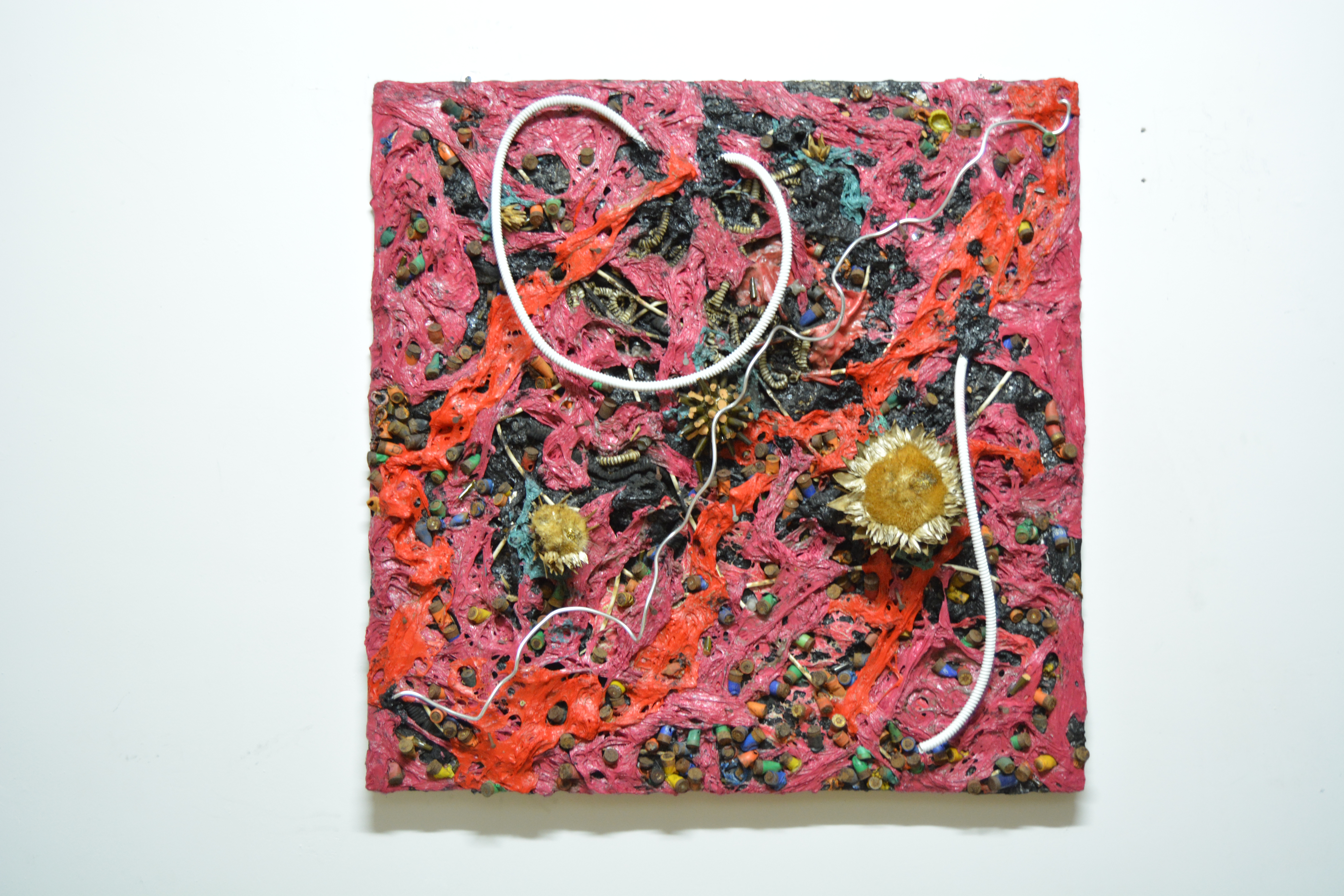 Micro (chip-chip) Explosion — S.Rosa