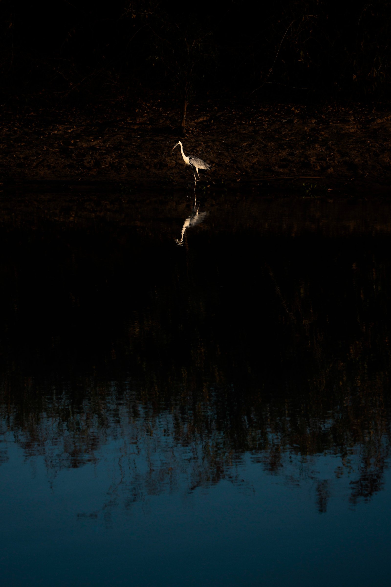 Silent of the River — Felipe Cuoco