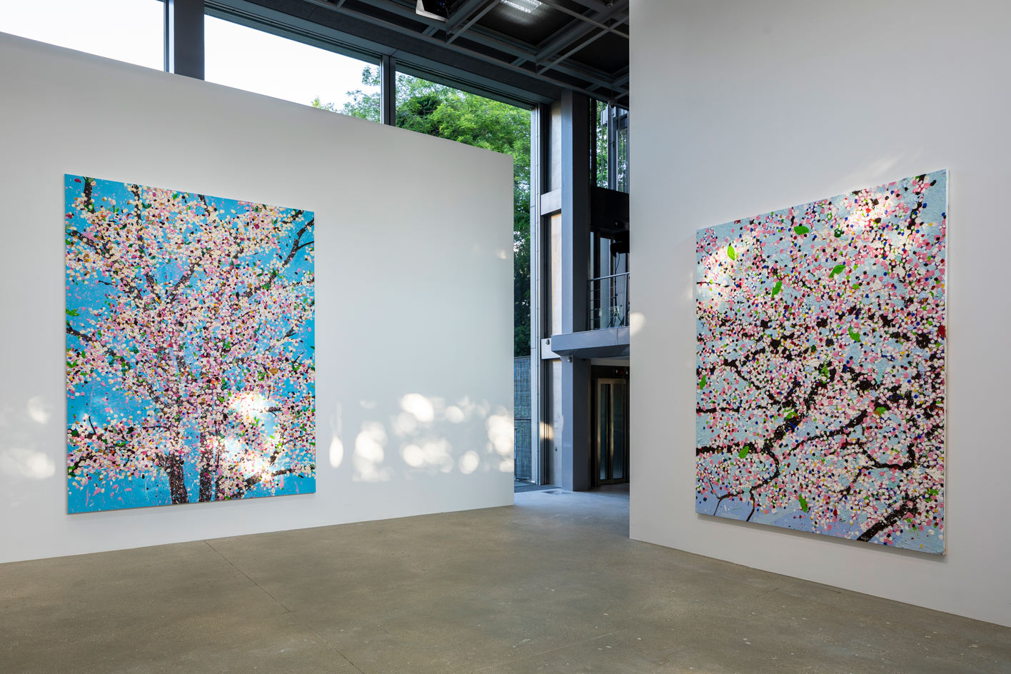 Damien Hirst on his Cherry Blossoms